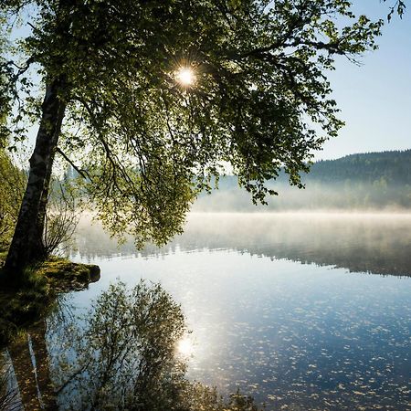 Ferienwohnung Am Schwellenweiher Feldberg  Ngoại thất bức ảnh