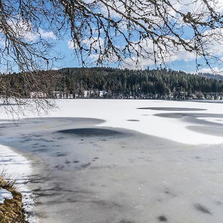 Ferienwohnung Am Schwellenweiher Feldberg  Ngoại thất bức ảnh