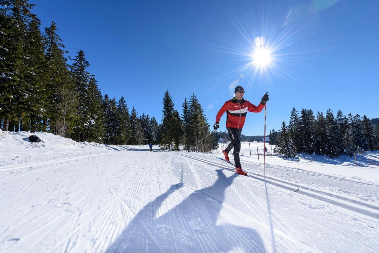 Ferienwohnung Am Schwellenweiher Feldberg  Ngoại thất bức ảnh