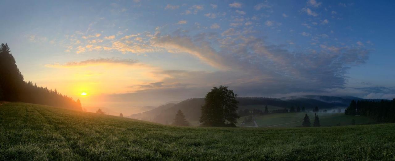 Ferienwohnung Am Schwellenweiher Feldberg  Ngoại thất bức ảnh
