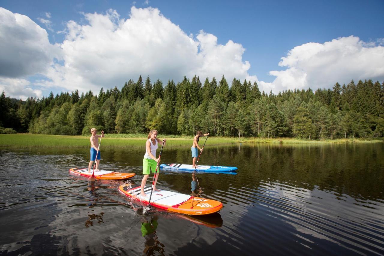 Ferienwohnung Am Schwellenweiher Feldberg  Ngoại thất bức ảnh