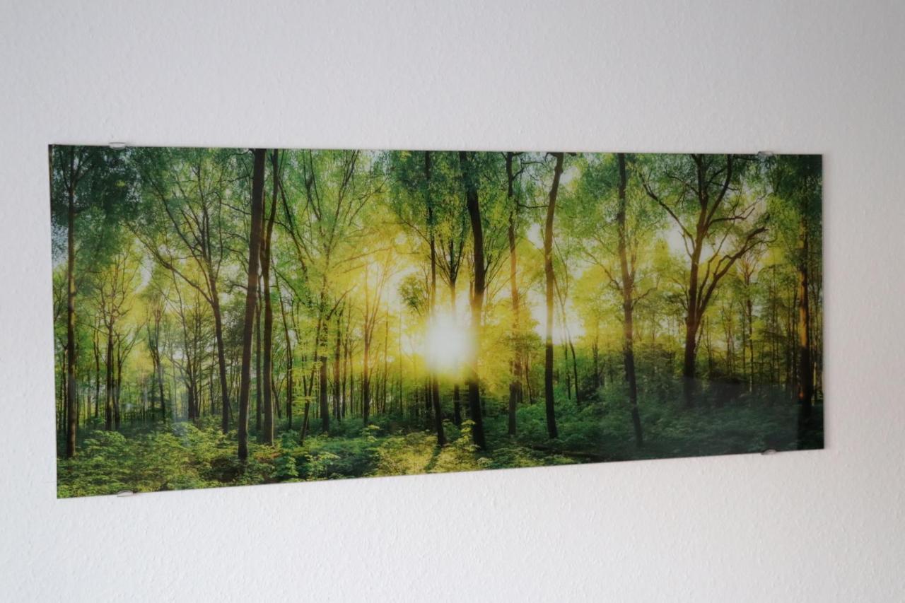 Ferienwohnung Am Schwellenweiher Feldberg  Ngoại thất bức ảnh