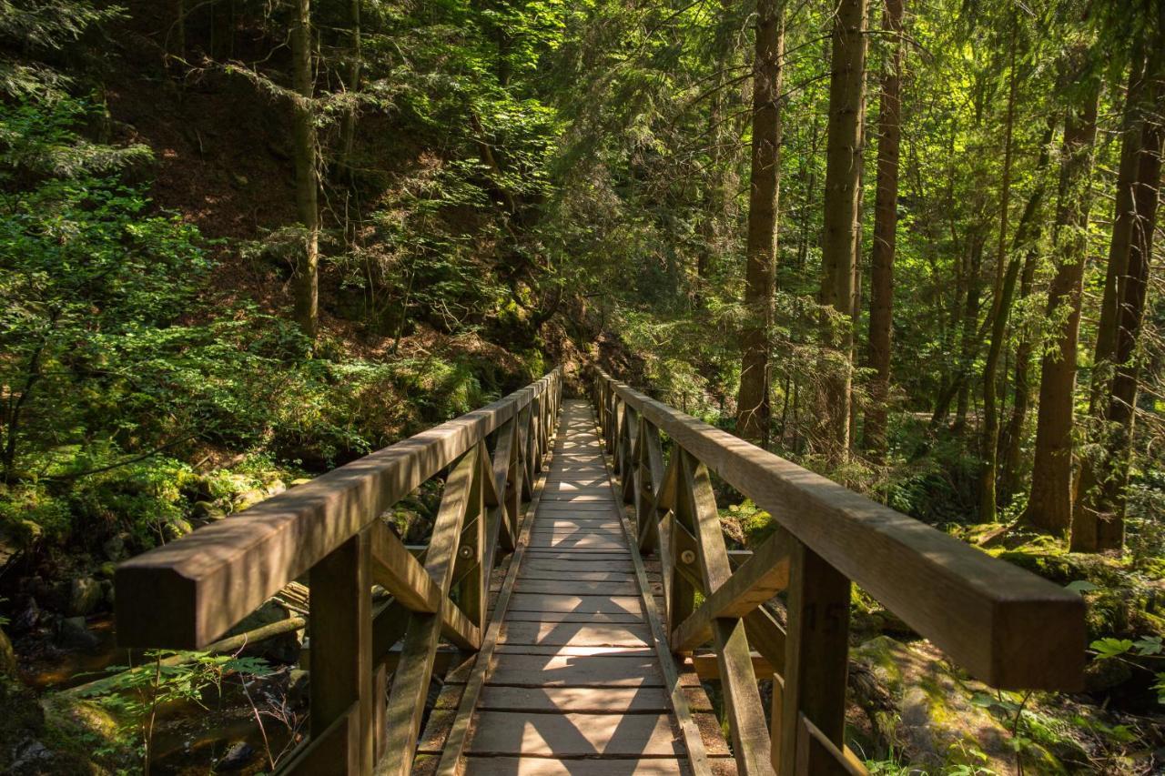 Ferienwohnung Am Schwellenweiher Feldberg  Ngoại thất bức ảnh