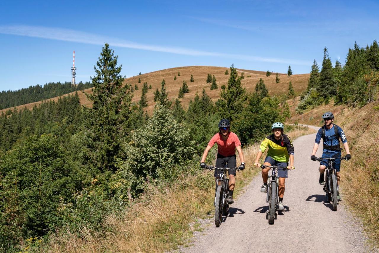 Ferienwohnung Am Schwellenweiher Feldberg  Ngoại thất bức ảnh