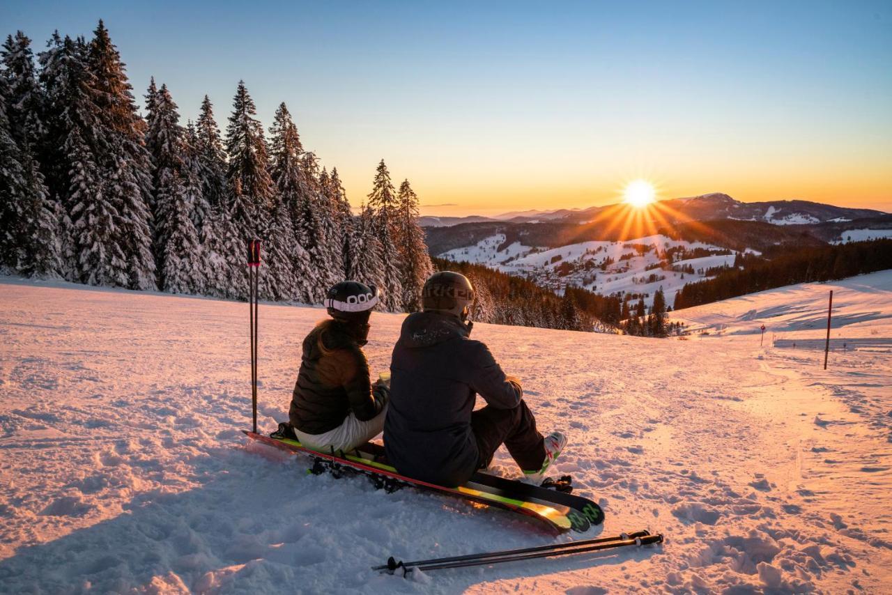 Ferienwohnung Am Schwellenweiher Feldberg  Ngoại thất bức ảnh