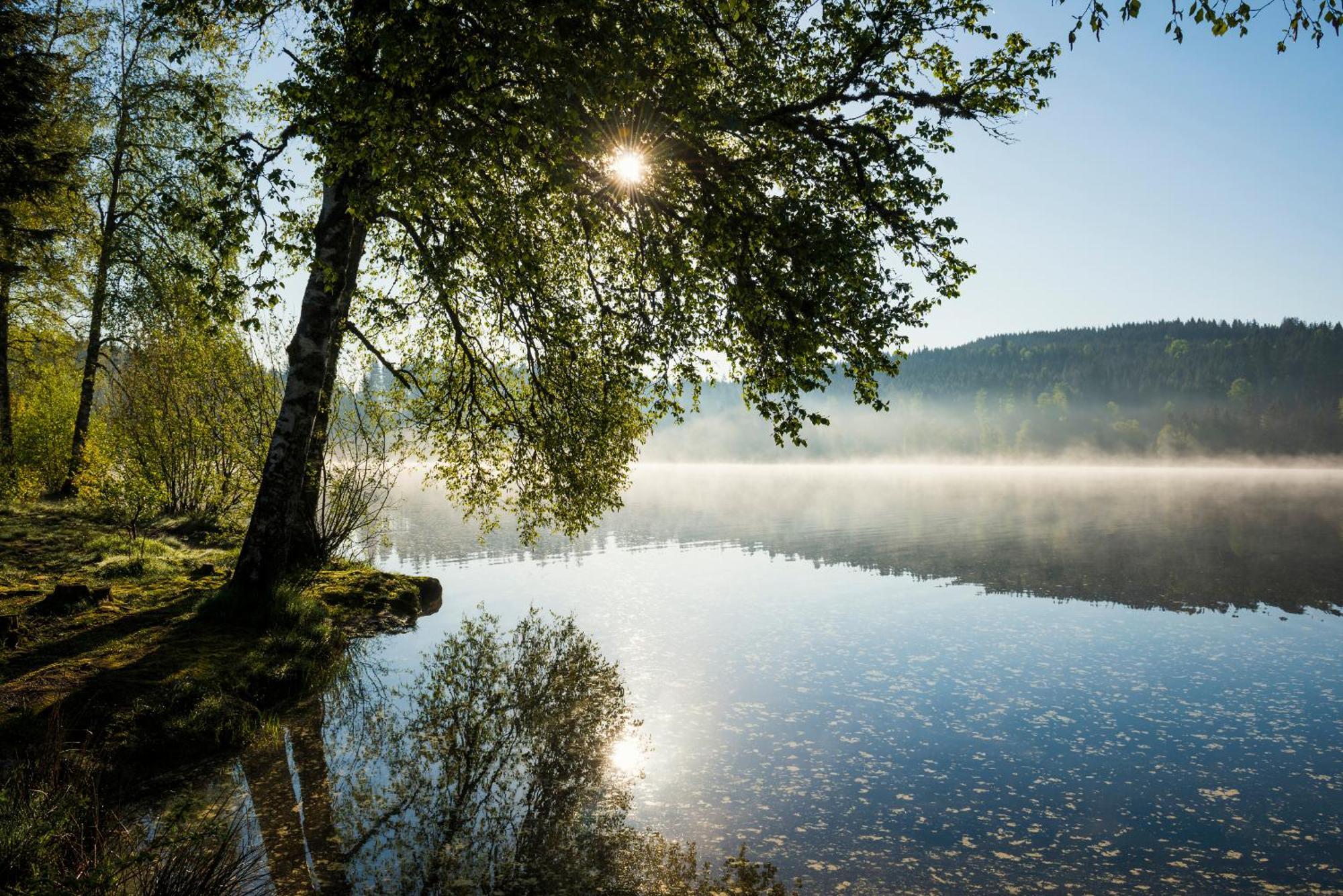 Ferienwohnung Am Schwellenweiher Feldberg  Ngoại thất bức ảnh
