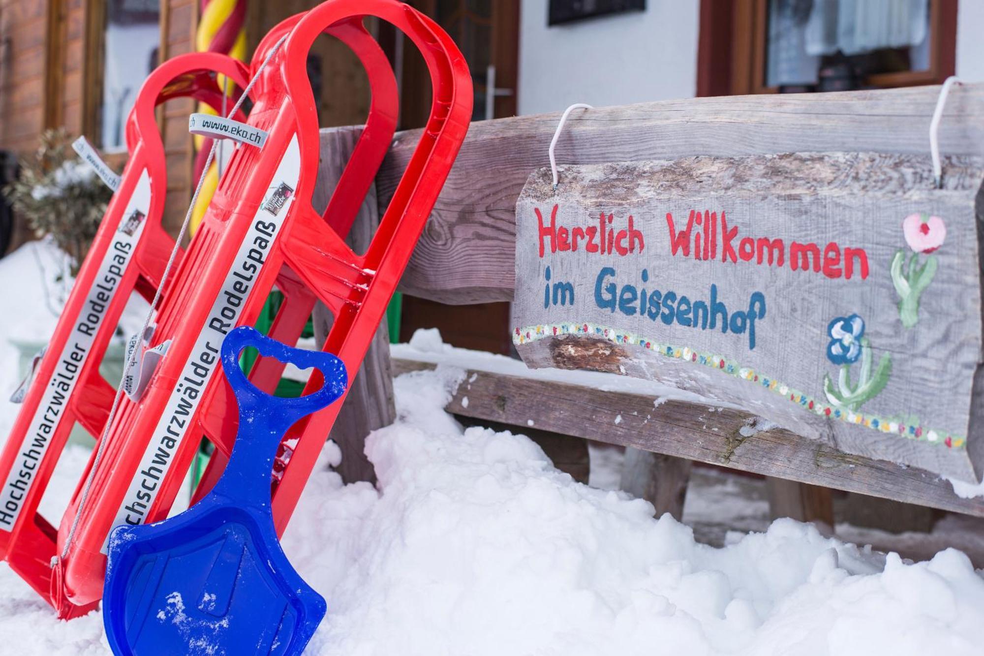 Ferienwohnung Am Schwellenweiher Feldberg  Ngoại thất bức ảnh