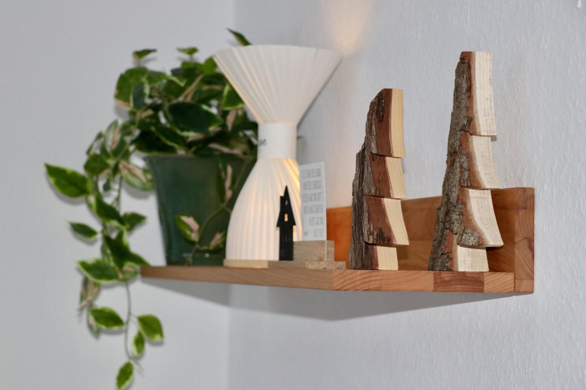 Ferienwohnung Am Schwellenweiher Feldberg  Ngoại thất bức ảnh