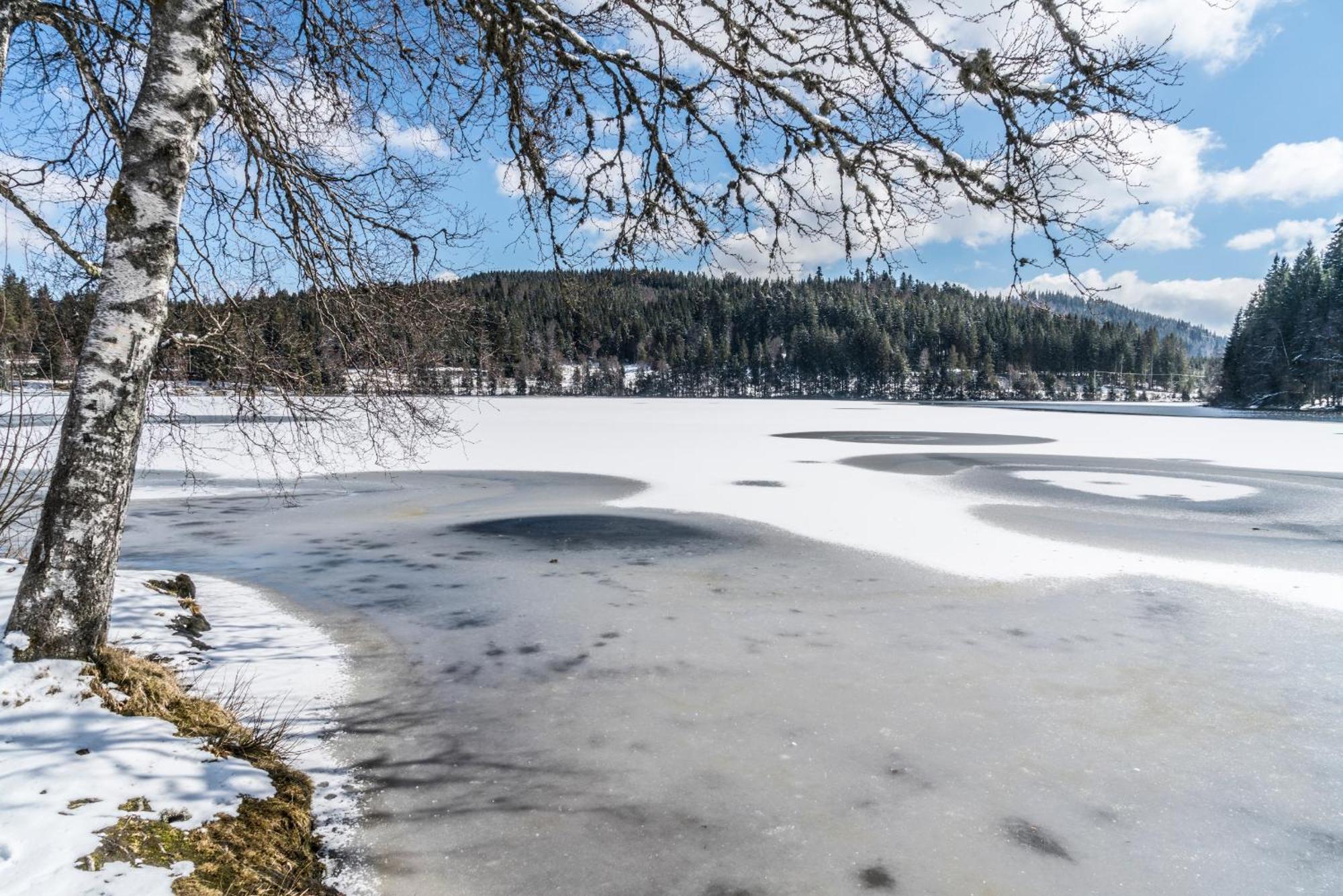 Ferienwohnung Am Schwellenweiher Feldberg  Ngoại thất bức ảnh