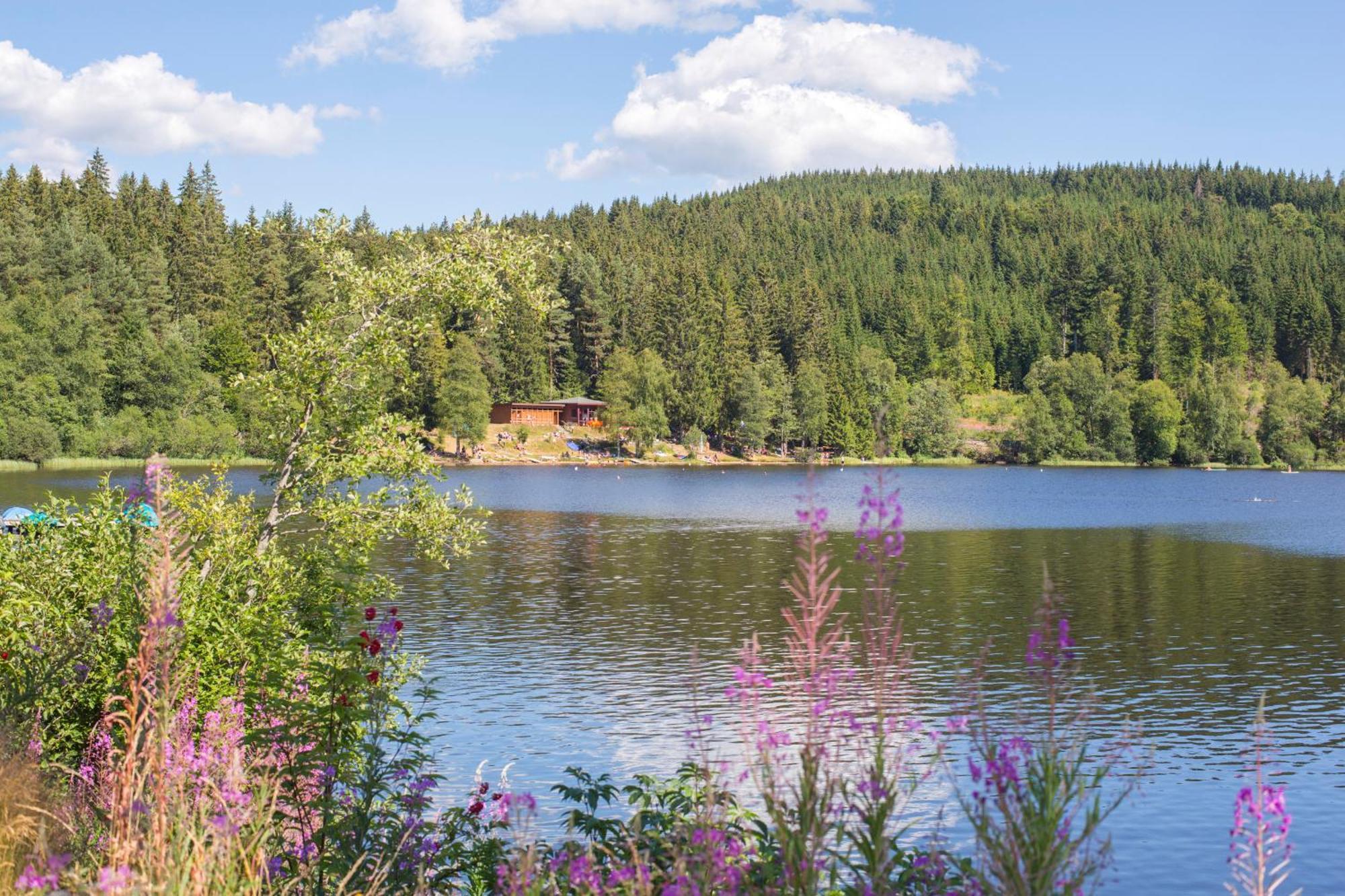 Ferienwohnung Am Schwellenweiher Feldberg  Ngoại thất bức ảnh