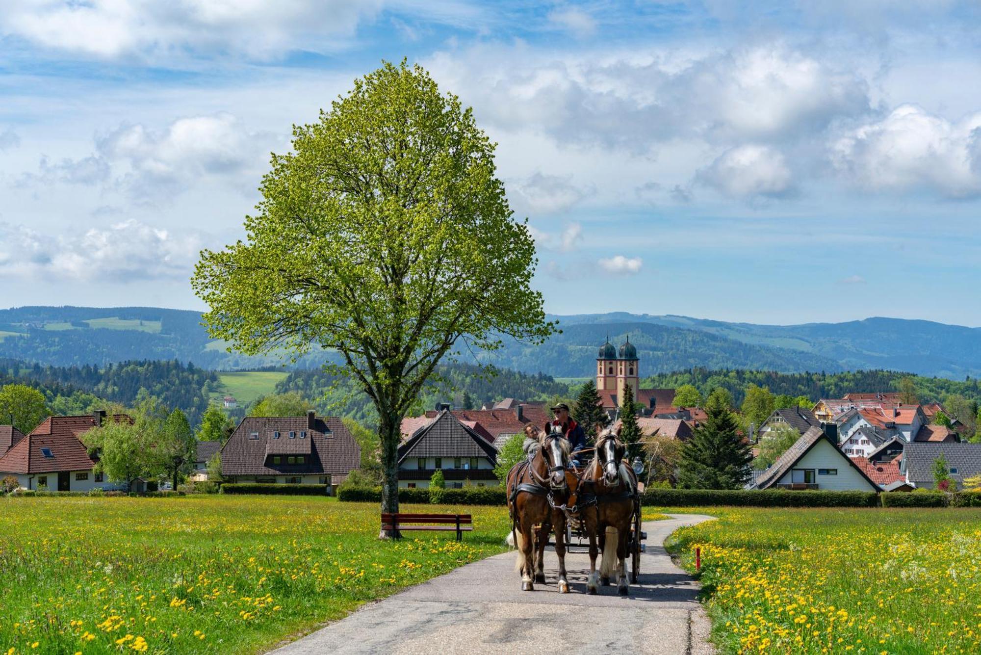 Ferienwohnung Am Schwellenweiher Feldberg  Ngoại thất bức ảnh